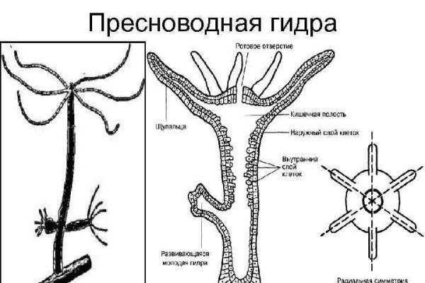 Кракен что это такое маркетплейс