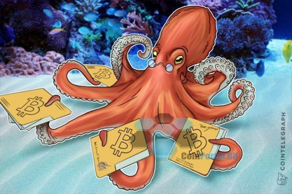 Kraken link